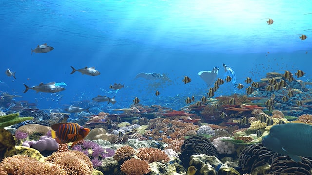 On the Fifth Day, Life of Varied and Diverse Forms Exhibits the Authority of the Creator in Different Ways