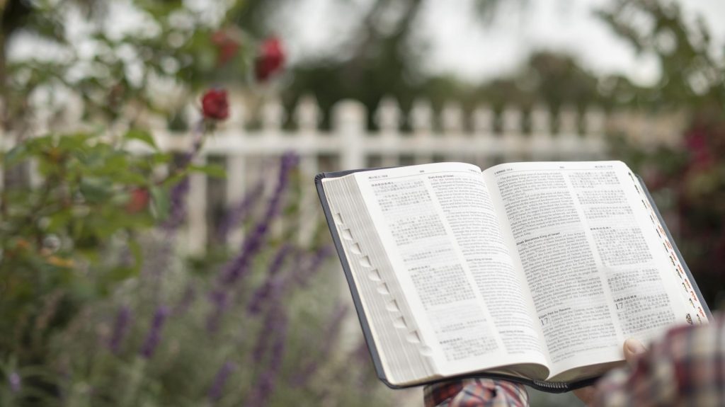 For two thousand years, man’s faith in the Lord has been based upon the Bible. After Almighty God began the work of judgment of the last days, all who accepted Almighty God focused on reading the words of Almighty God, and seldom read the Bible. What I want to know is, after they accept Almighty God’s work of the last days, how can people correctly approach and use the Bible?