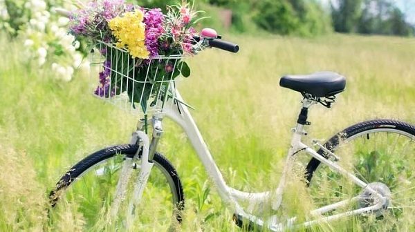 I Have Only Just Begun Walking the Right Path of Life