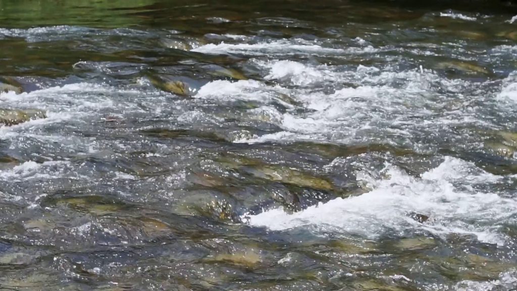 In the Disaster, I Saw God’s Wonderful Deeds