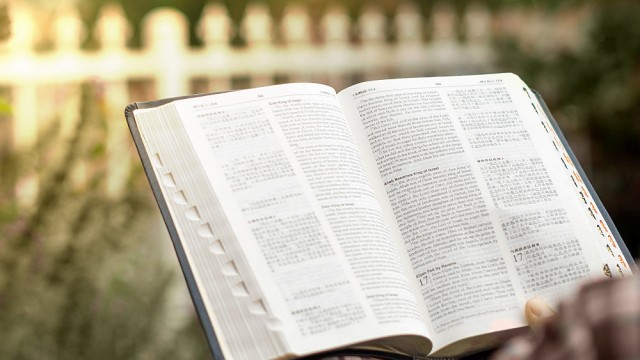 The Mission of John the Baptist
