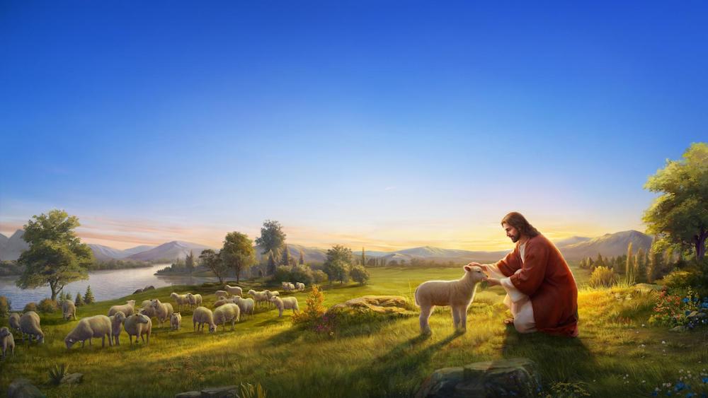 Lost Sheep Has Returned to the Side of the Shepherd