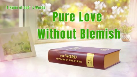 Christian Hymn - Pure Love Without Blemish