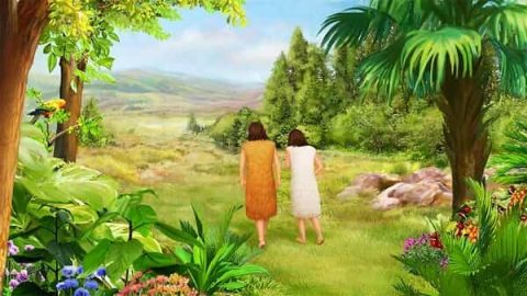 bible adam eve man god creation garden eden woman stories created rest expulsion meaning related his enter into