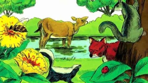 God's creation,Bible Stories