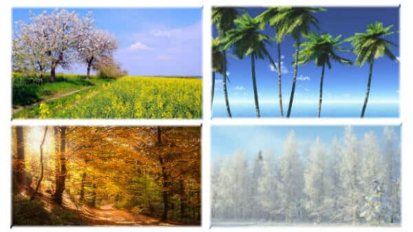 beautiful four seasons