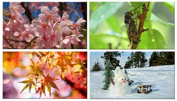 four season