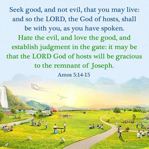 Seek Good And Not Evil Amos 5 14 15 Today s Bible Verse seek-good-and-not-evil-amos-5-14-15-today-s-bible-verse