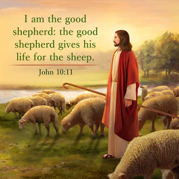John 10:11 - Verse Meaning - I Am the Good Shepherd