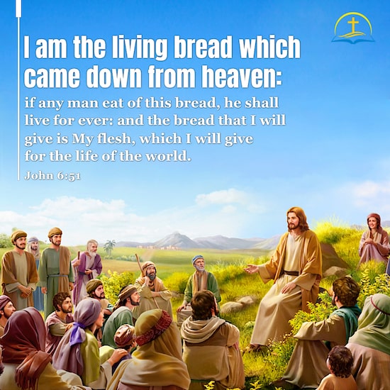 Matthew 7:7 - Seek and You Shall Find - Bible Quote Image