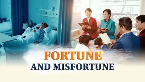 Fortune and Misfortune
