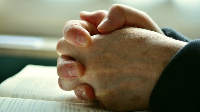Praying hands book