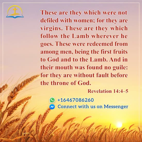 john-6-51-bible-quotes-image-about-living-bread