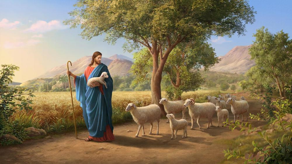 Seeking the Lost Sheep—Why Did Jesus Use Parable?