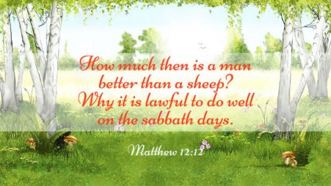 Sabbath Day