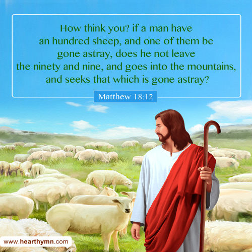 Matthew 18:12 - The Parable of the Lost Sheep, Daily Bible Verse