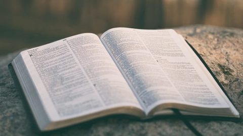 bible