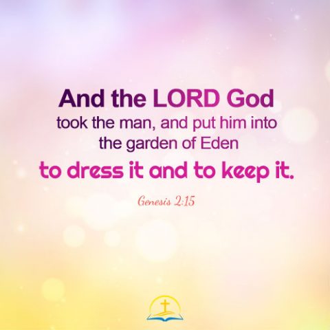 Genesis 2:15 - God Put Adam into the Garden of Eden, Daily Bible Verse