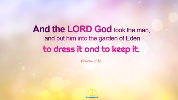 God Put Adam into the Garden of Eden Genesis 2 15 