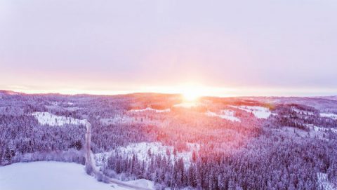sun and winter