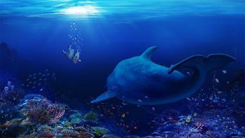 Jonah cast into the sea and was swallowed by a great fish