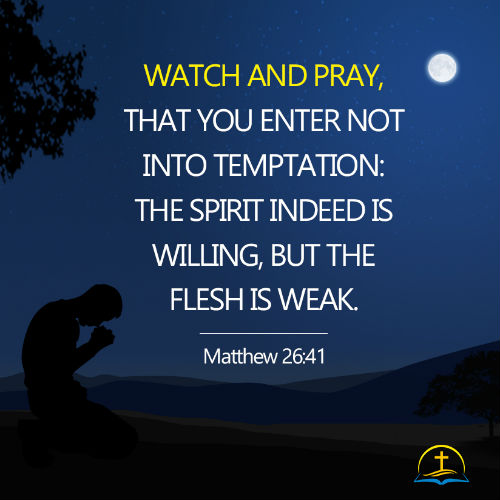 Matthew 26:41 - Watch and Pray, Daily Bible Reading