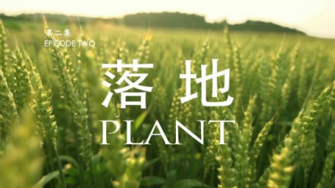missionary episode ii plant