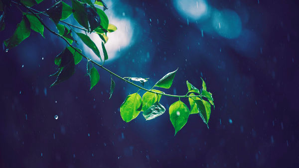 https://www.hearthymn.com/wp-content/uploads/2018/08/raining-leaf.jpg