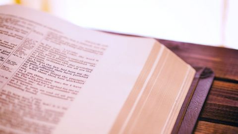 holy bible