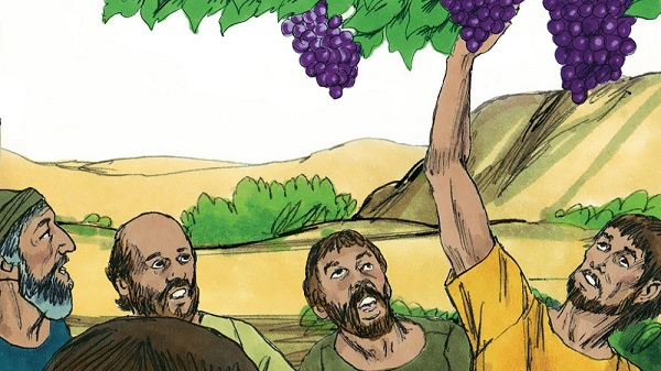 the spies cut down a branch with one cluster of grapes