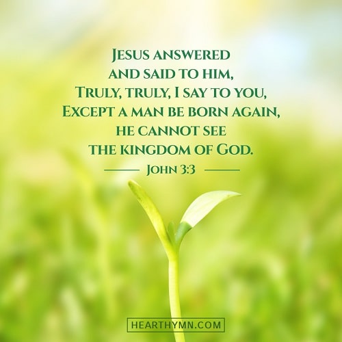 John 3 3 Bible Verse Image