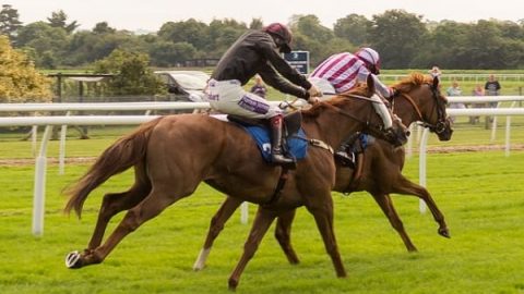 the horses racing