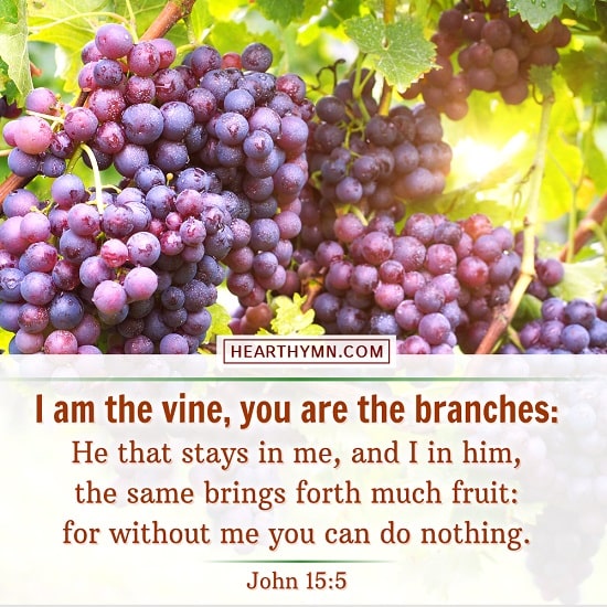 John 15:5 - Bible Quote Image About Our Relationship With God