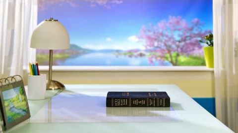 Three principles of reading the bible