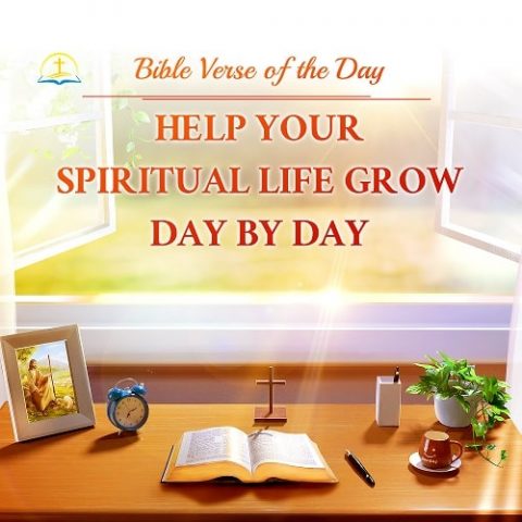 bible verse of the day