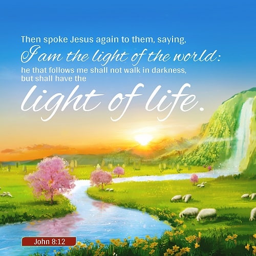 I Am the Light of the World - John 8:12 - Daily Devotional