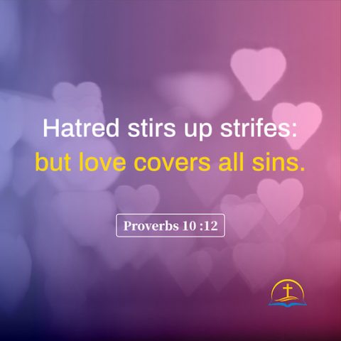 Proverbs 10:12 - Bible quote image about the effect of love