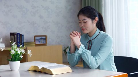 Pray in Everything Philippians 4 6