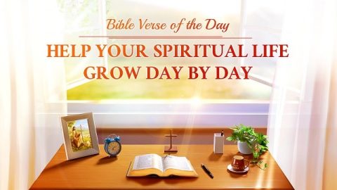 Bible Verse of the Day - Matthew 25:15 - Parable of the Talents