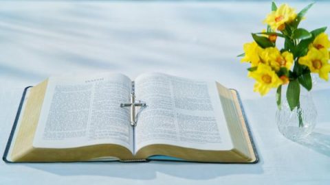 Bible book and cross