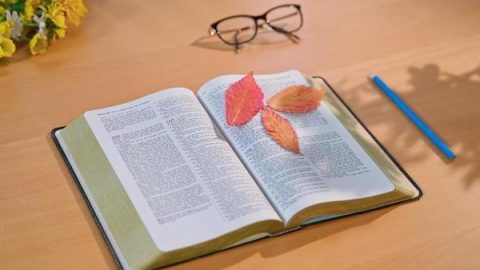 The resurrection of the dead in the Bible