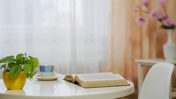 A books and green plants on the table