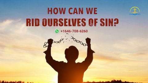 A Preacher’s Experience: How to Get Rid of Sin and Enter the Kingdom of God