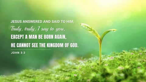 john 12 47 48 commentary