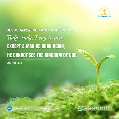 True Meaning of Being Born Again | A Commentary on John 3:3 | Bible Verse of the Day