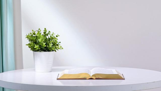 What God promises to those who have attained salvation and those who have been perfected