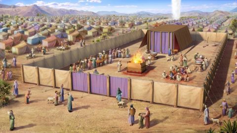 The Work in the Age of Law