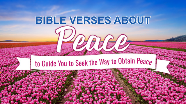 Bible Verses About Peace to Guide You to Seek the Way to Obtain Peace