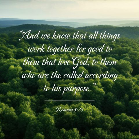 Top 10 Most Powerful Bible Verses