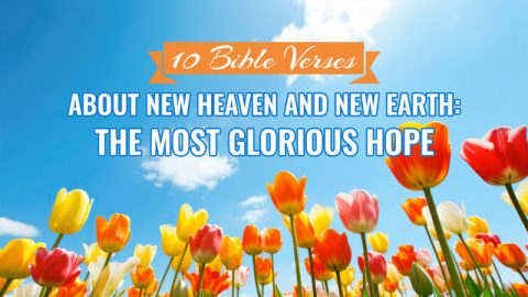 10 Bible Verses About New Heaven and New Earth: The Most Glorious Hope